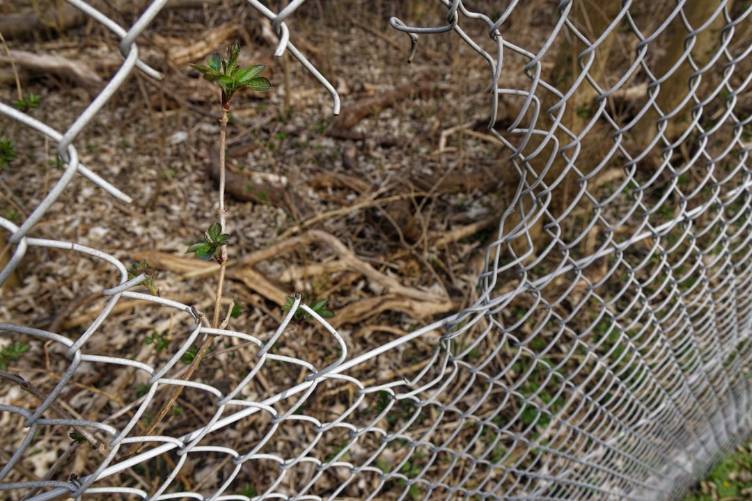 Photo Technological advancements