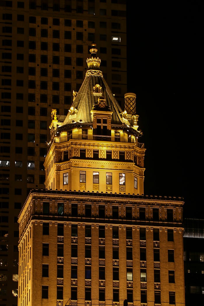 Pexels Photo 12385247