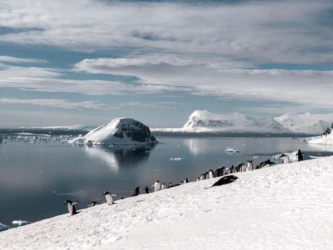 The Hidden Geological Wonders of Antarctica Photo Antarctica geological feature